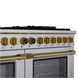 Dual Fuel Range for Natural Gas in Stainless Steel Gold Under Cabinet Range Hood