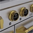 Dual Fuel Range for Natural Gas in Stainless Steel Gold Under Cabinet Range Hood