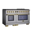 Dual Fuel Range for Natural Gas in Stainless Steel Gold Under Cabinet Range Hood