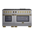 Dual Fuel Range for Natural Gas in Stainless Steel  Gold Wall Mount Range Hood