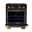 Dual Fuel Range Natural Gas in Titanium Stainless Steel Under Cabinet RangeHood