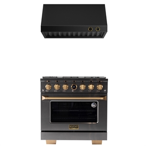 Dual Fuel Range Propane Gas in Titanium Stainless Steel Under Cabinet Range Hood