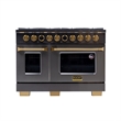 Dual Fuel Range Natural Gas in Titanium Stainless Steel Under Cabinet Range Hood