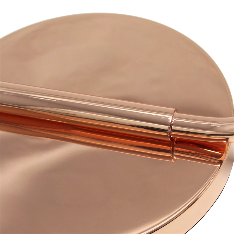 Simple Designs Iron Antique Lantern Floor Lamp in Rose Gold with