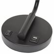 Lalia Home Modern Iron Desk Lamp with USB Port and Glass Shade Black