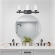 All the Rages Essentix 3-Light Metal Vanity Fixture with Opaque Shade in Black