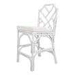 NPD Furniture Kara 26&quot Rattan Counter Stool in White (Set of 2)
