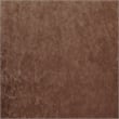 NPD Furniture Lauryn Velvet Dining Side Chair in Dainty Brown