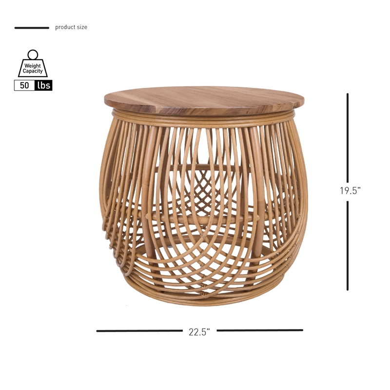 NPD Furniture Arlo Rattan Side/ End Table w/ Wood Top in Honey
