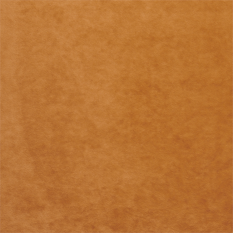 New Pacific Direct Althea Velvet Accent Arm Chair in Dainty Caramel