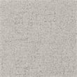 NPD Furniture Bruce Fabric Dining Side Chair in Pebbled Cream (Set of 2)