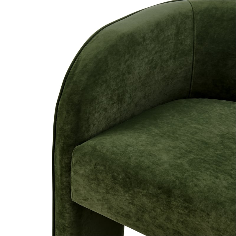 NPD Furniture Matteo Velvet Accent Arm Chair in Dainty Green