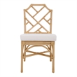 New Pacific Direct Kara Rattan Dining Side Chair (Set of 2)