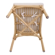 New Pacific Direct Kara Rattan Dining Side Chair (Set of 2)
