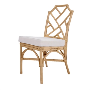 NPD Furniture Kara Rattan Dining Side Chair (Set of 2)