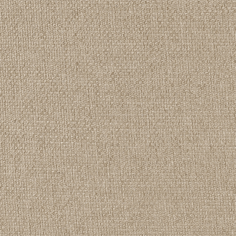 NPD Furniture Ruth Fabric Accent Arm Chair in Barley Beige