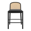 NPD Furniture Donna Faux Leather Rattan Counter Stool in Black (Set of 2)