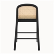 NPD Furniture Donna Faux Leather Rattan Counter Stool in Black (Set of 2)