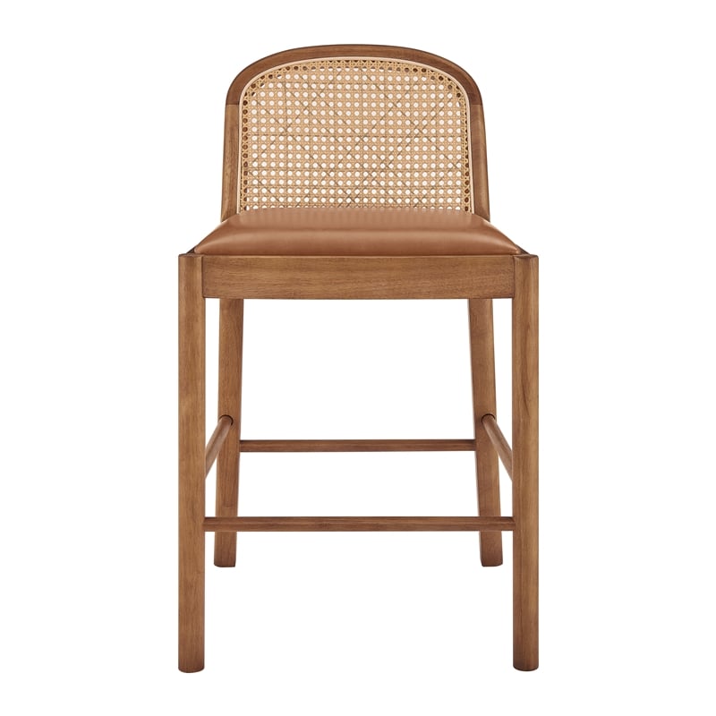 NPD Furniture Donna Faux Leather Rattan Counter Stool in Brown (Set of 2)