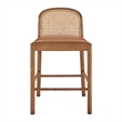 NPD Furniture Donna Faux Leather Rattan Counter Stool in Brown (Set of 2)
