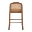 NPD Furniture Donna Faux Leather Rattan Counter Stool in Brown (Set of 2)