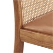 NPD Furniture Donna Faux Leather Rattan Counter Stool in Brown (Set of 2)