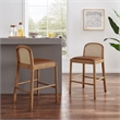 NPD Furniture Donna Faux Leather Rattan Counter Stool in Brown (Set of 2)