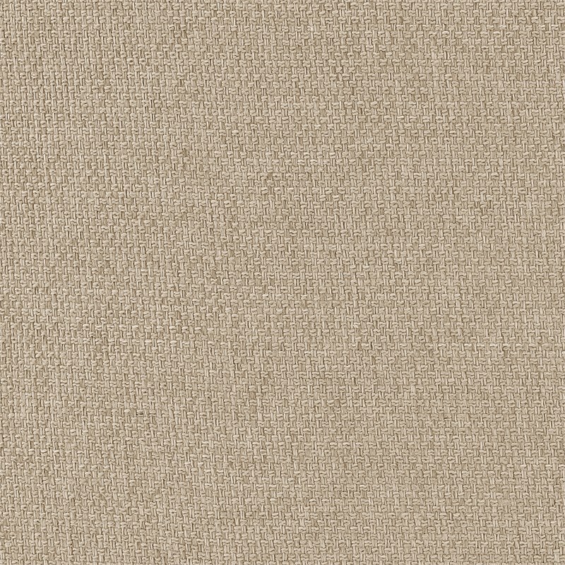NPD Furniture Sherlyn Fabric Dining Side Chair in Barley Beige