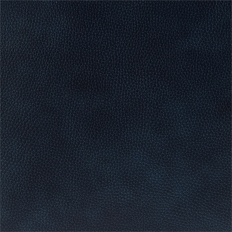 New Pacific Direct Tiffani Top Grain Leather Accent Arm Chair in Garrett Blue