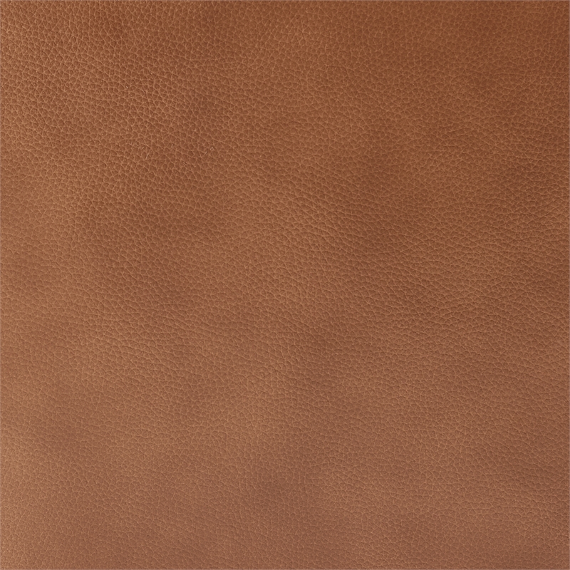 New Pacific Direct Tiffani Top Grain Leather Accent Arm Chair in Garrett Caramel