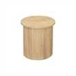 New Pacific Direct Aniston Side/End Table in Natural Whitewash
