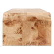 NPD Furniture Adriel Burl Wood Coffee Table in Natural Burl