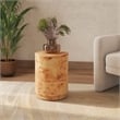 NPD Furniture Arsenio Burl Wood Round Side/End Table in Natural Burl