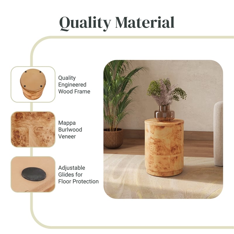 NPD Furniture Arsenio Burl Wood Round Side/End Table in Natural Burl