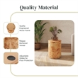 NPD Furniture Arsenio Burl Wood Round Side/End Table in Natural Burl