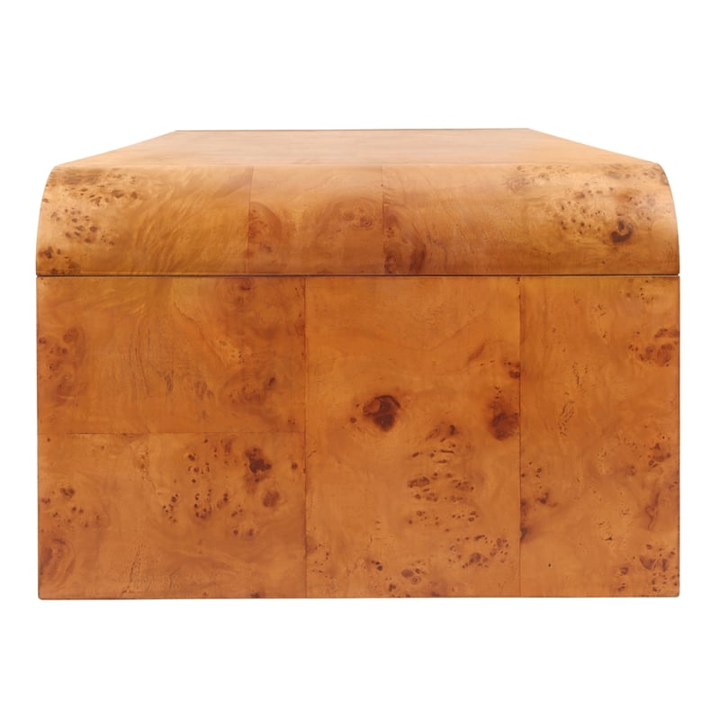 NPD Furniture Adriel Burl Wood Coffee Table in Golden Brown Burl