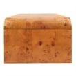 NPD Furniture Adriel Burl Wood Coffee Table in Golden Brown Burl