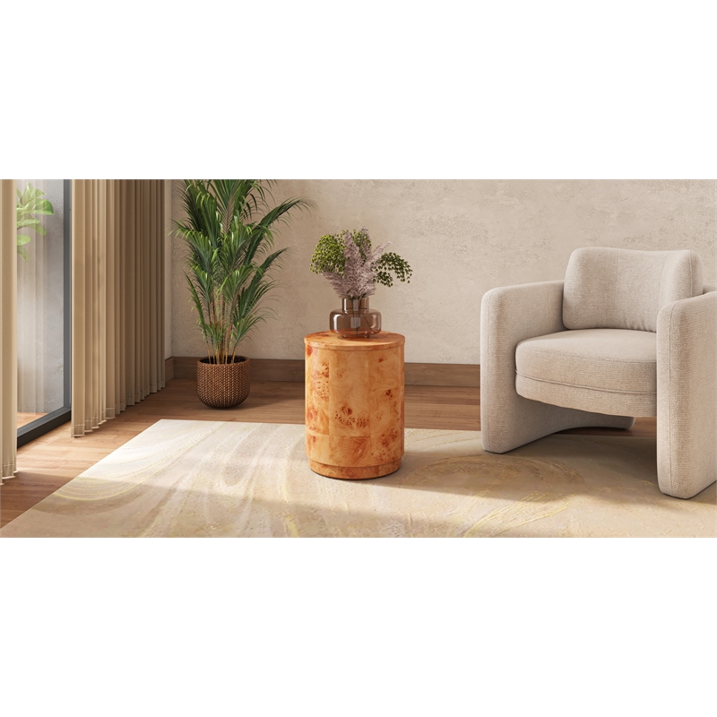 NPD Furniture Arsenio Burl Wood Round Side/End Table in Golden Brown Burl