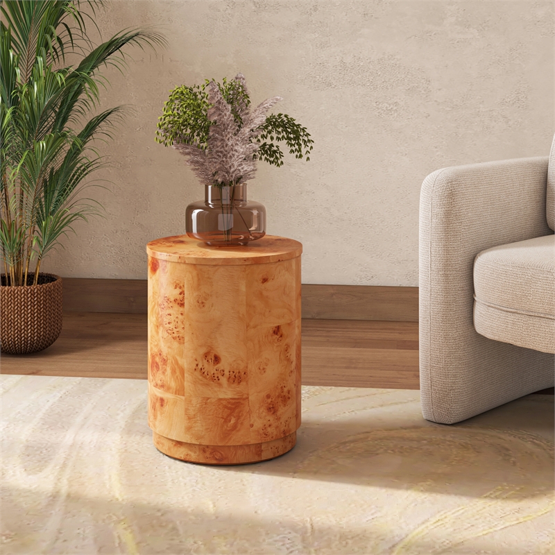 NPD Furniture Arsenio Burl Wood Round Side/End Table in Golden Brown Burl