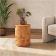 NPD Furniture Arsenio Burl Wood Round Side/End Table in Golden Brown Burl