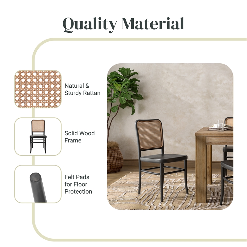 NPD Furniture Sonora Rattan Dining Side Chair Wood Seat (Set of 2)