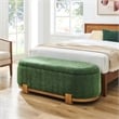 NPD Furniture Ayleen Chenille Storage Bench in Seneca Green