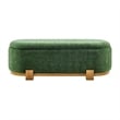 NPD Furniture Ayleen Chenille Storage Bench in Seneca Green