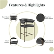 NPD Furniture Kaiden KD Faux Leather Counter Stool in Cano Black (Set of 2)