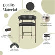 NPD Furniture Kaiden KD Faux Leather Counter Stool in Cano Black (Set of 2)