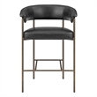 NPD Furniture Kaiden KD Faux Leather Counter Stool in Cano Black (Set of 2)