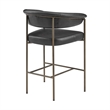 NPD Furniture Kaiden KD Faux Leather Counter Stool in Cano Black (Set of 2)