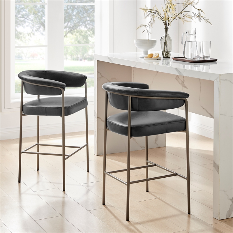 NPD Furniture Kaiden KD Faux Leather Counter Stool in Cano Black (Set of 2)