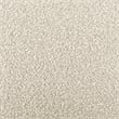 NPD Furniture Lucius Boucle Accent Chair in Milford Beige