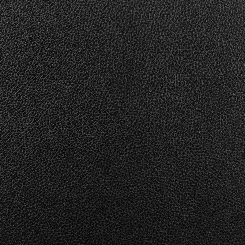 New Pacific Direct Cordelia Top Grain Leather Accent Arm Chair in Stolm Black